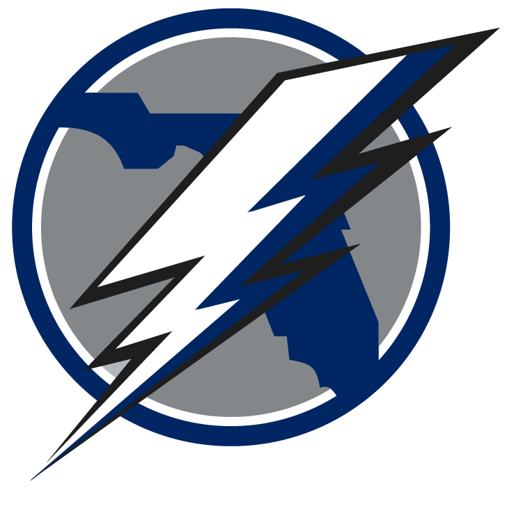 Tampa Bay Lightning 2008 Unused Logo iron on transfers for clothing